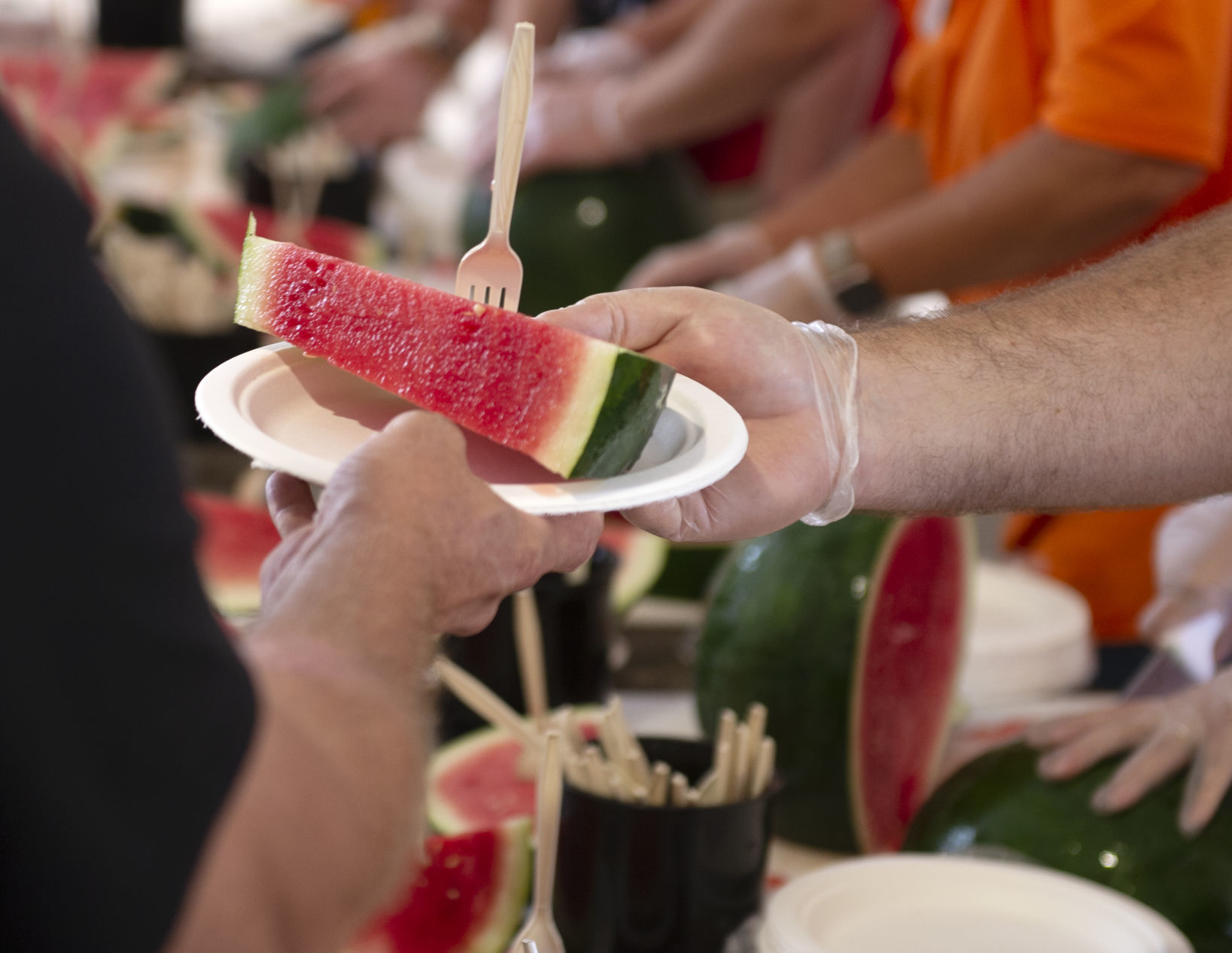 WATERMELON AT FAIR, 8.2